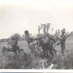 Lekemti XI - 1939 - FT00000337