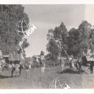 Lekemti XI - 1939 - FT00000343