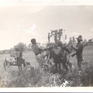 Lekemti XI - 1939 - FT00000342