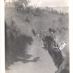 Didessa XI - 1939 - FT00000344