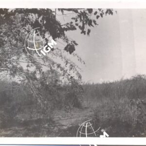 Angar XI - 1939 - FT00000352