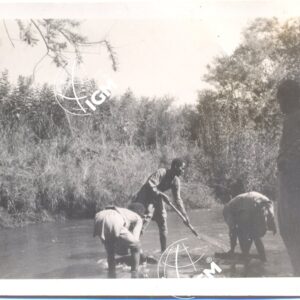 Kumi XI - 1939 - FT00000359