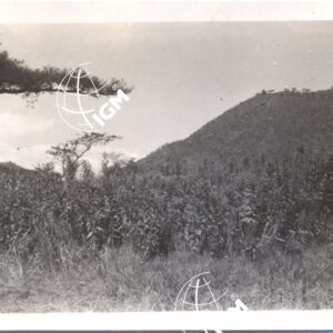 Tullu Salen XI - 1939 - FT00000360