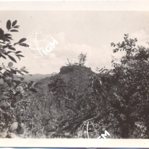 T. Normà  XI - 1939 - FT00000367