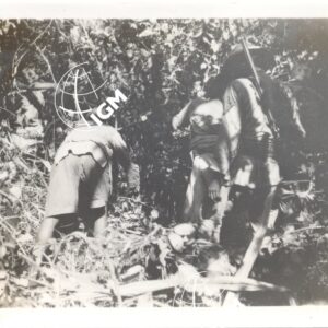 disboscamento sul Bubba I - 1940 - FT00000393