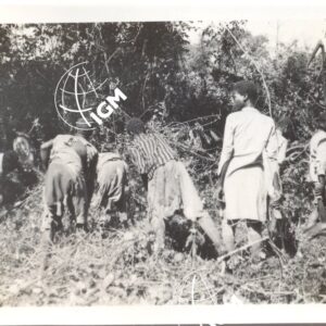 disboscamento sul Bubba per la preparazione della zona da coltivare I - 1940 - FT00000394