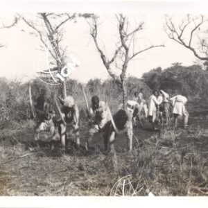 Bubba I - 1940 - FT00000398