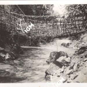 Il ponte di liane sul Birbir a Yauvau X - I - 1940 - FT00000420