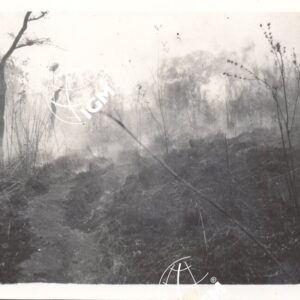 Incendio delle erbe del banecà   III - 1940 - FT00000446