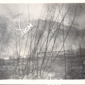Incendio delle erbe del banecà   III - 1940 - FT00000447