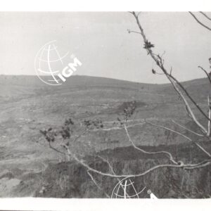 I lavori sulla collina di Imbado  III - 1940 - FT00000450