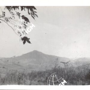 Il M. Cialti da Ghedamso  III - 1940 - FT00000452