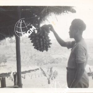 Comto IV - 1940 - FT00000467