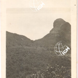 Monte Rajo - FT00000544