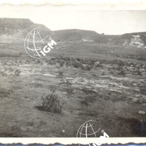 Agamè - FT00000566