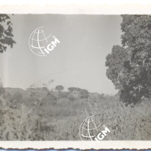Duibà - FT00000567