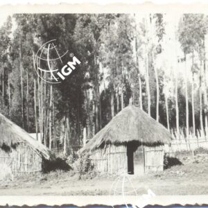 Tucul Addis Abeba - FT00000607
