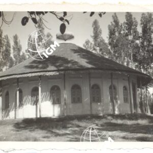 Enda Stefanos - FT00000614