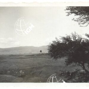 Scioa - FT00000615