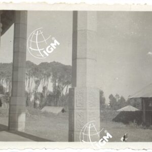 Scioa - FT00000617