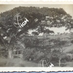 Uallega - Laga Kallu - FT00000620