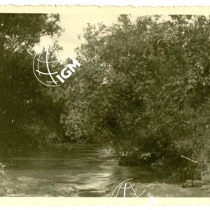 Il Birbir - FT00000628