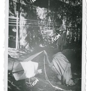 filatura di cotone - FT00000713