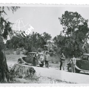 Sosta - FT00000734
