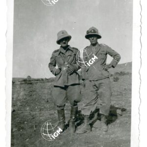 Paesani Scelicat - FT00000768