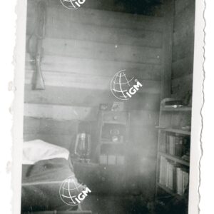 interno Calamino - FT00000844