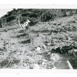 morto Adi Oufito - FT00000847