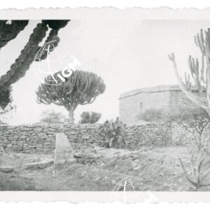 cimitero dei nostri morti Adi Mai Caia - FT00000848