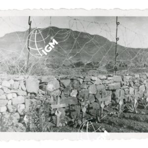 cimitero fiamme rosse Scelicat - FT00000849