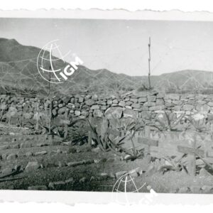 cimitero fiamme nere Scelicat - FT00000852
