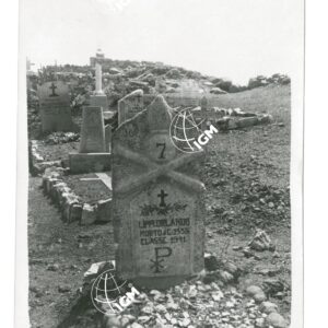 cimitero tomba art. Lippi Orlando - FT00000855