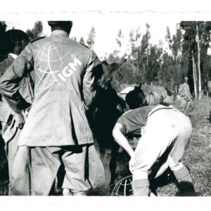 matricolatura dei muletti Addis Abeba - FT00000863