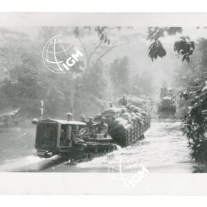 caterpillar al passaggio del Birbir - FT00000909