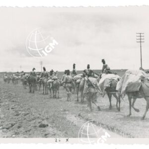 il XV° Batt. indigeno in marcia verso Enda Jesus - FT00000934