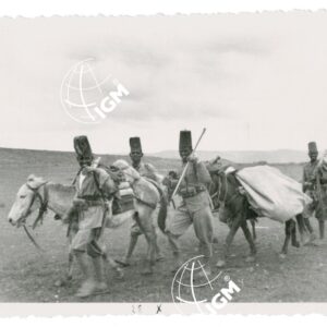 il XV° Batt. indigeno in marcia verso Enda Jesus - FT00000936