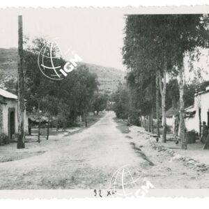 Laganciti il viale centrale - FT00001036