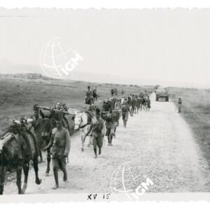 Gruppo da montagna della V Brig. Indigena sotto Calaminat - FT00001063