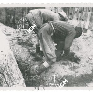 sacrificio di una pecora - FT00001082