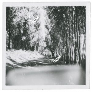 strada verso Ghimbi - FT00001111