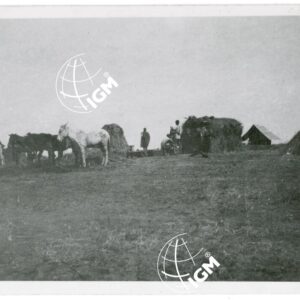 Campo di Abassena - FT00001124