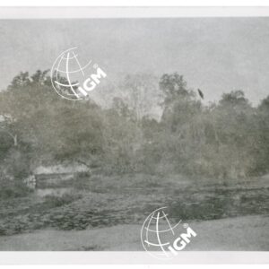 alto Didessa - FT00001131