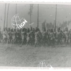 VII Cp. Genio Aba - FT00001139