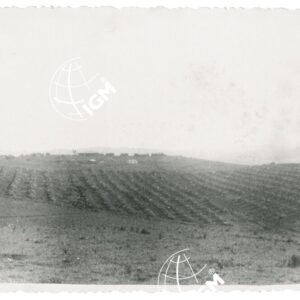 campo Jubolo - FT00001146
