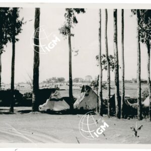 Asmara - FT00001149