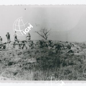 Katta Jorgo - FT00001150