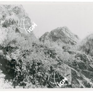 rocce del T. Gergo - FT00001158
